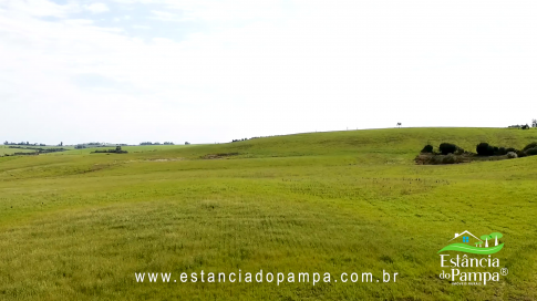 48 HA NO RS.00_01_58_03.Quadro010_77bbd8a5fd9c15d7e4e0ffbb58fc0a11cc063f3c.png